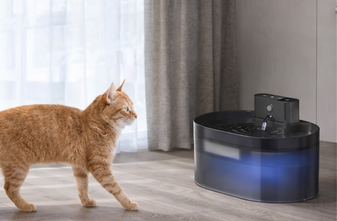 Distributeur d'eau automatique sans fil pour animaux de compagnie