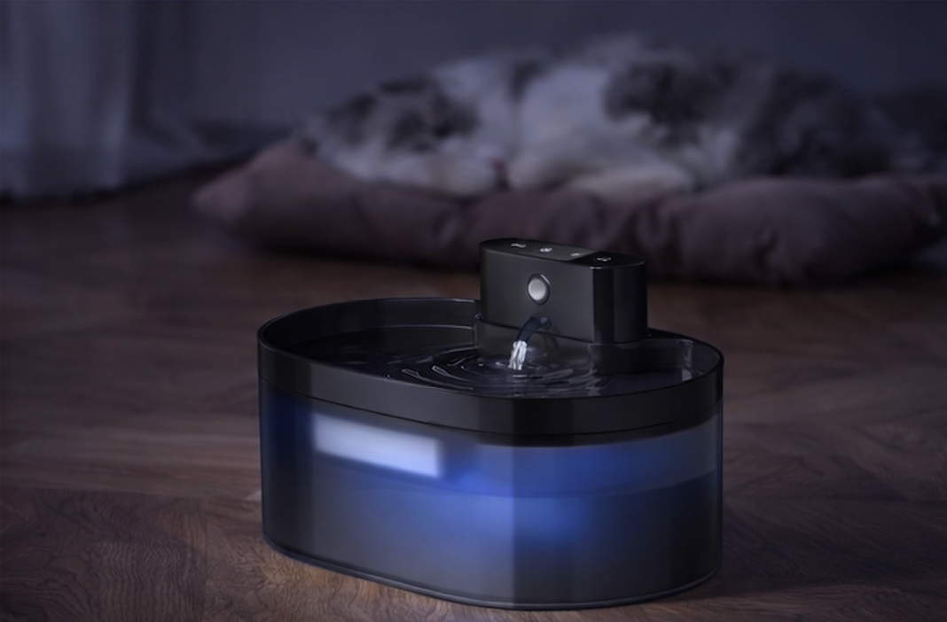 Distributeur d'eau automatique sans fil pour animaux de compagnie